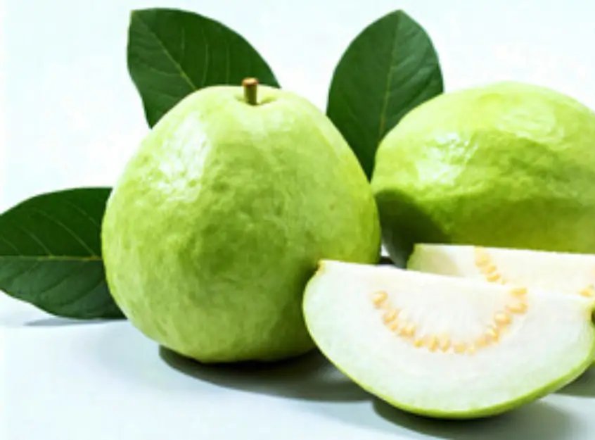 Guava