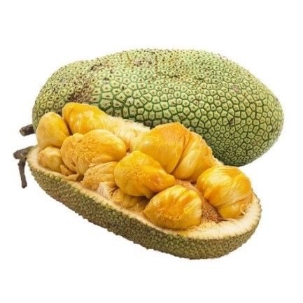 Jackfruit