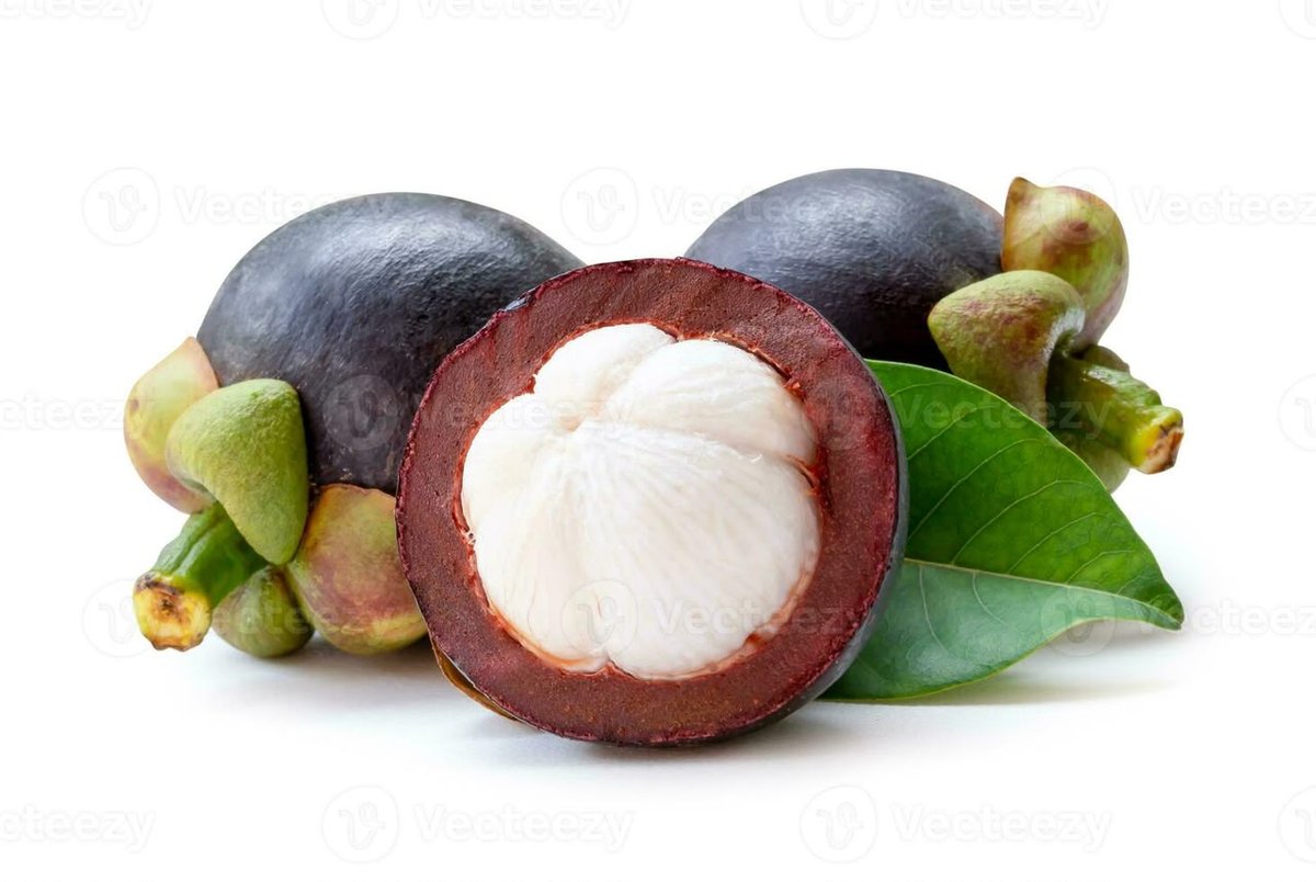 Mangosteen